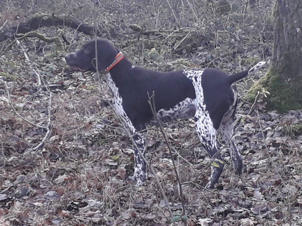O'brack du domaine du douillet